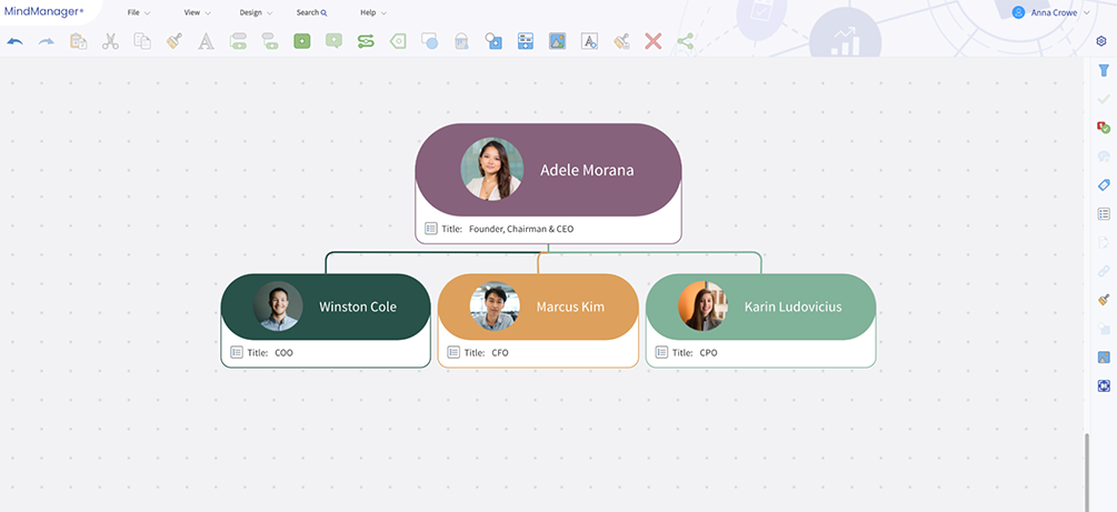 What is a functional chart & how to make one? | MindManager